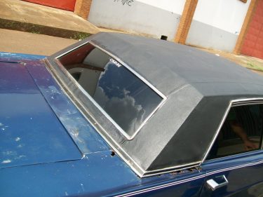 PONTAL 2010 629