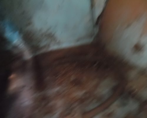 SAM_6912